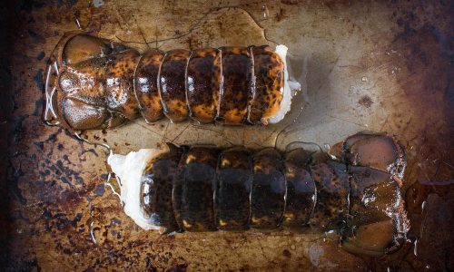 lobster tails